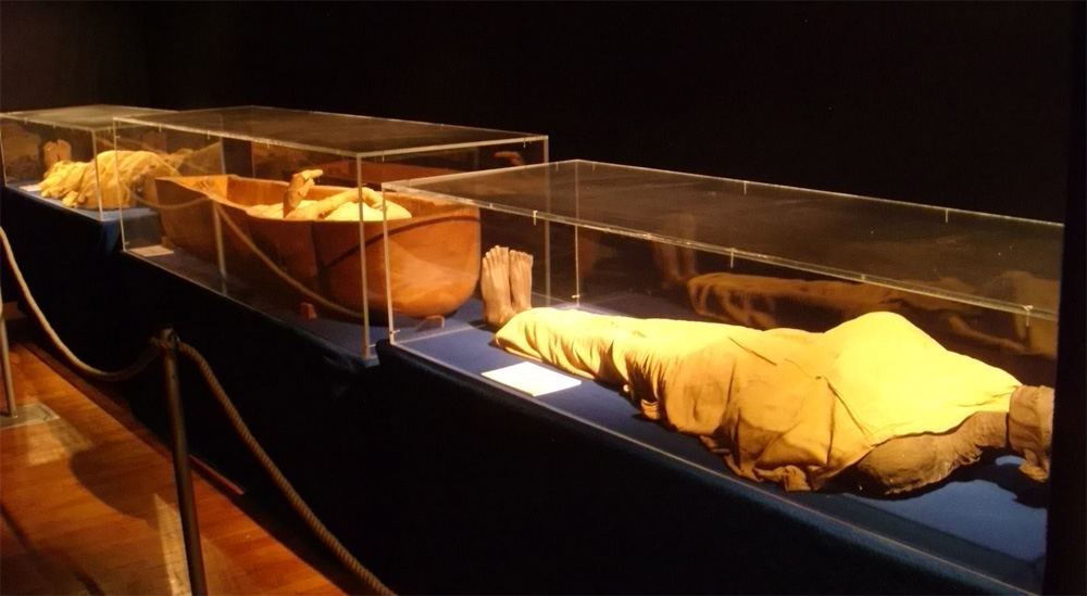 musee du caire salle des momies