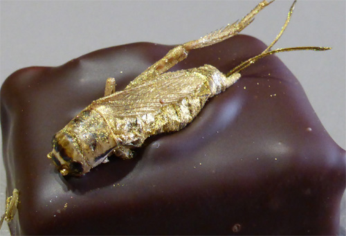 chocolat grillons musquar nancybuzz