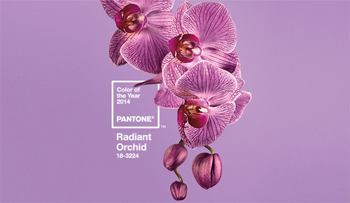 pantone-2014-radiant-orchid