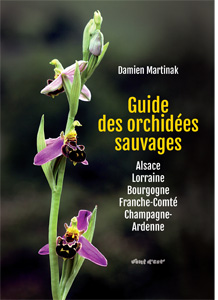 guide des orchidées sauvages lorraine vebt d'est editions nancybuzz