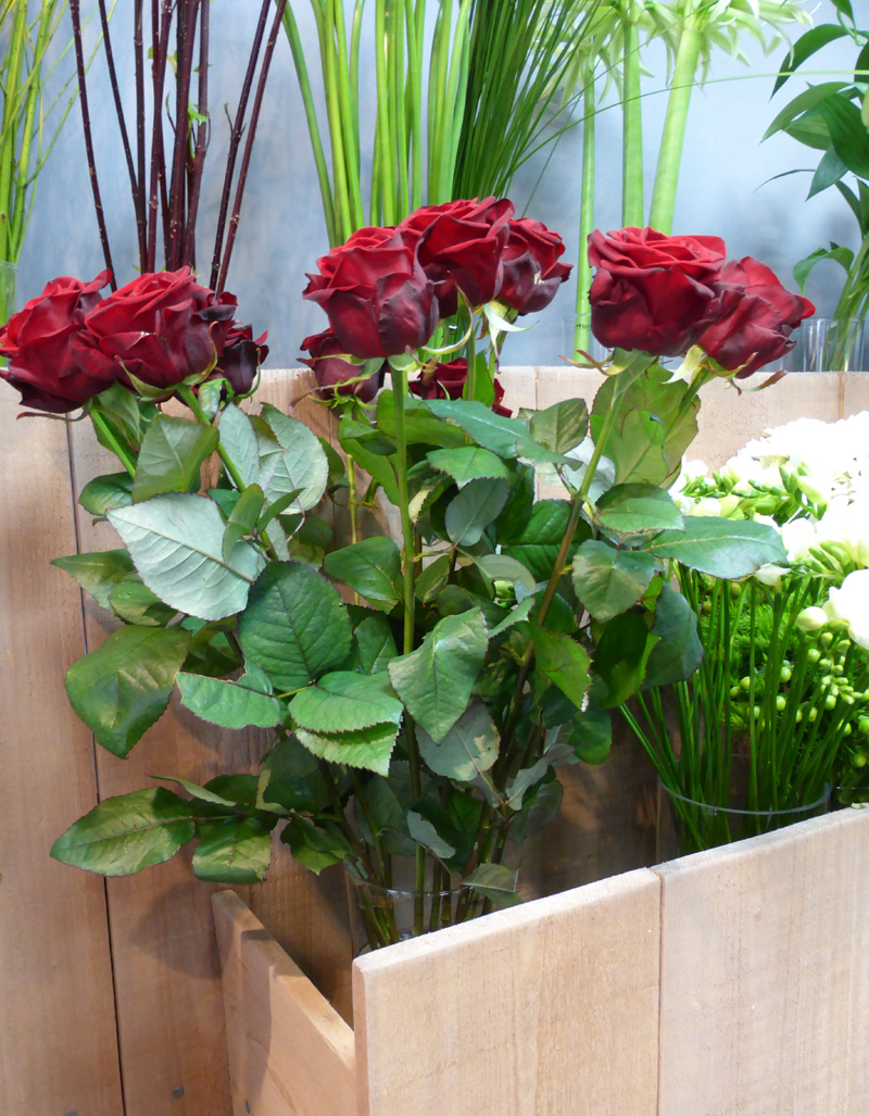 rose saint valentin nancy memento flori