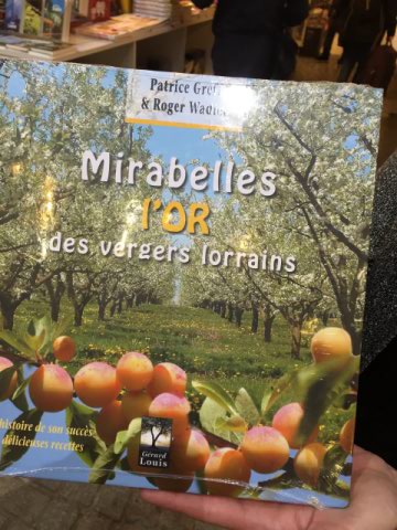 mirabelles en Lorraine