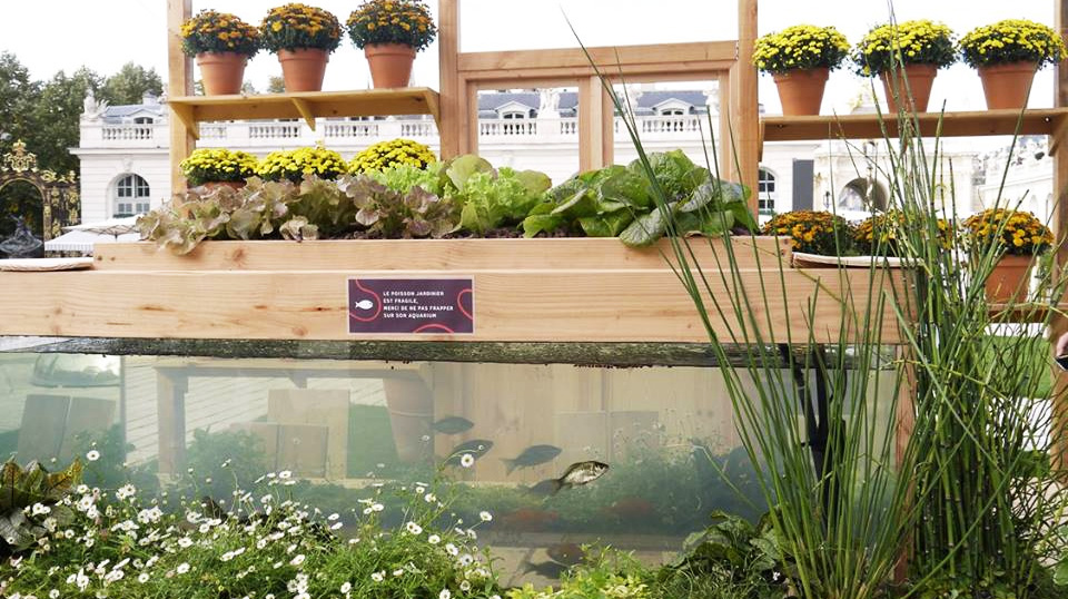 aquarium-jardin-connecte