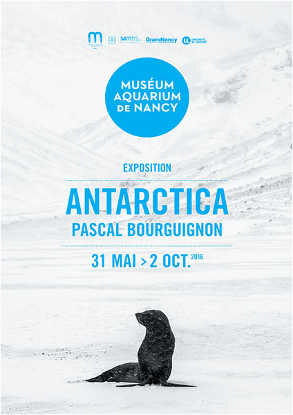 antartica musee aquarium de nancy