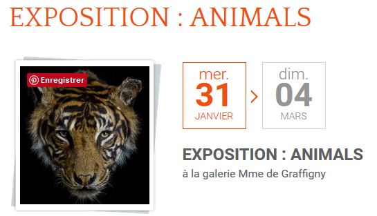 villers les nancy patrick leclerc photographe animaux naturalisés empaillés taxidermie exposition Animals fevrier 2018