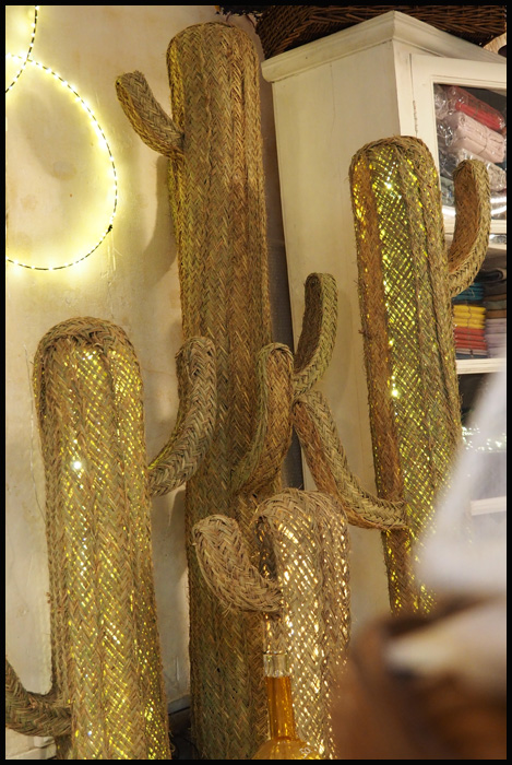 nancy boutique de décoration la villa 1901 15 rue saint dizier isabelle jung cactus lumineux leds