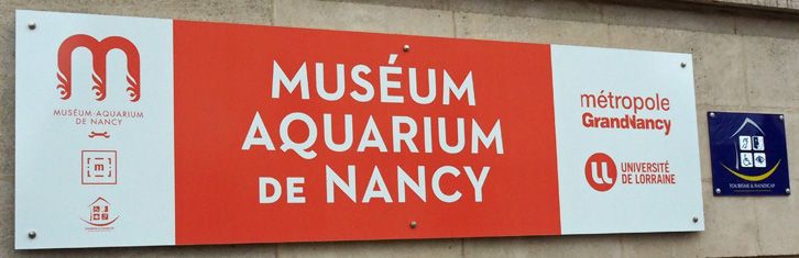 nancy museum aquarium exposition poils
