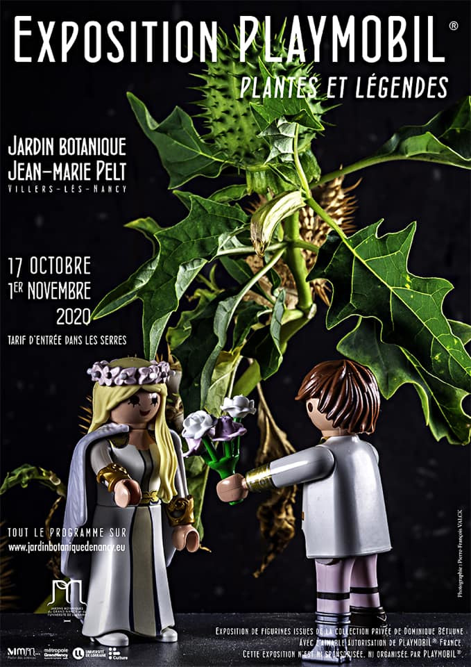 nancy esposition playmobil jarduin botanique octobre 2020 vacances